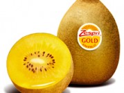 KIWI GOLD